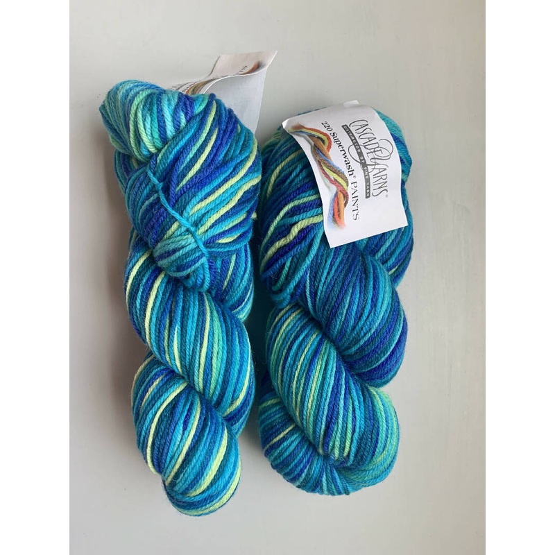 Cascade Yarns 220 Superwash Paints