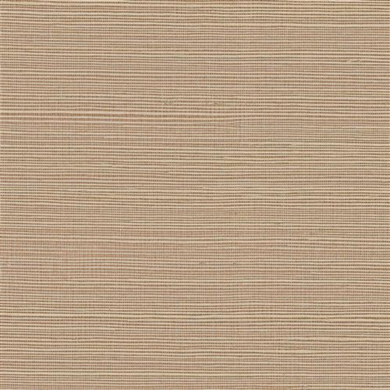 GV0129NW - Grasscloth And Natural Resource Maguey Sisal