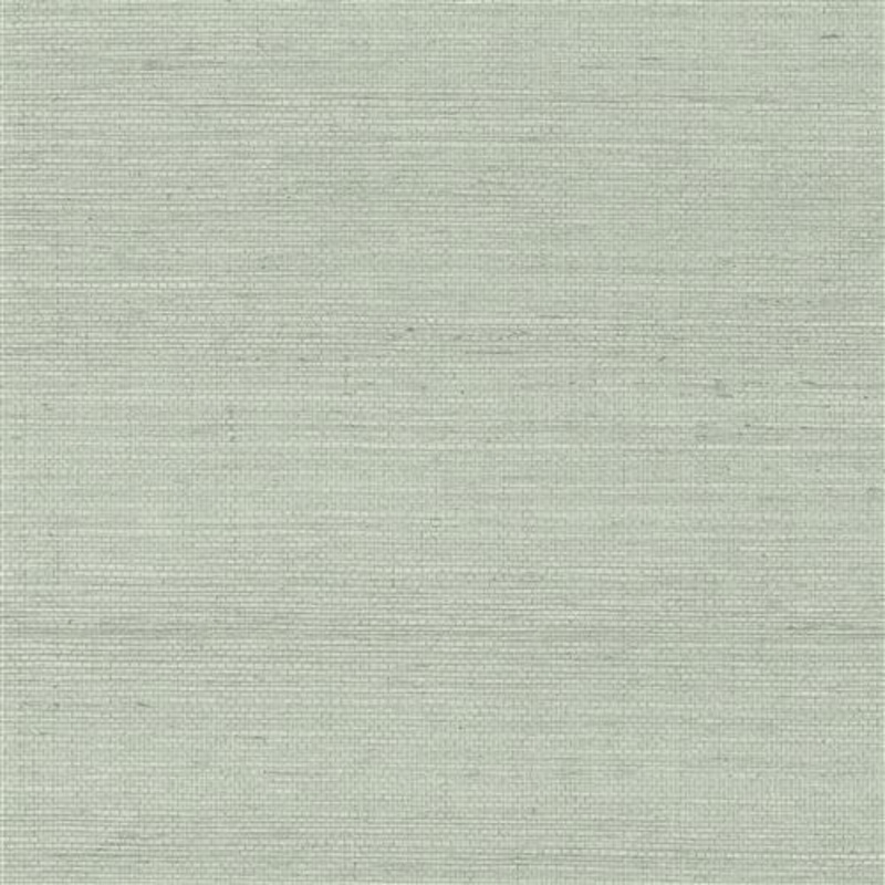 GV0167NW - Grasscloth And Natural Resource Maguey Sisal