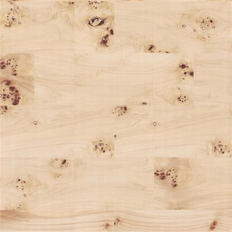 GV0266 - Grasscloth And Natural Resource Burlwood