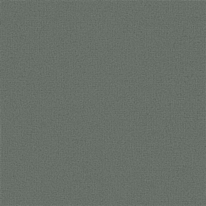 ND3011N - Natural Digest Wallpaper Dandy