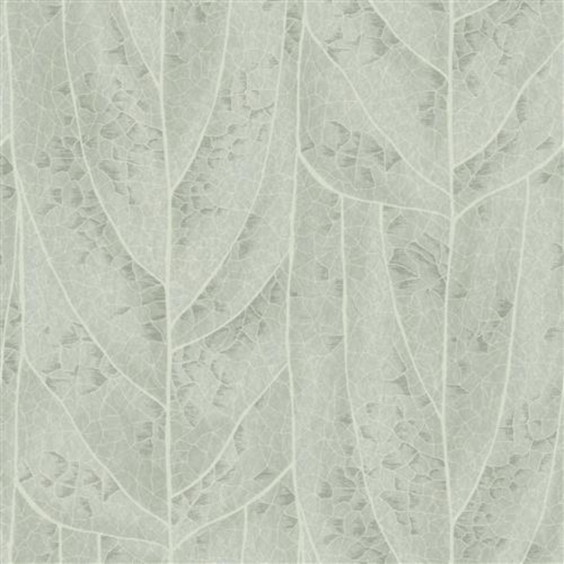 NT6141 -Candice Olson Natural Discovery Wallpaper Dicot