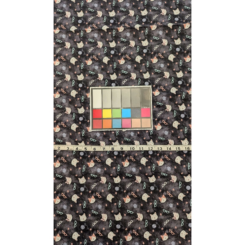 Charcoal Gray Kitties in Glasses Quilting Cotton Woven Fabric 42"W x 43"L
