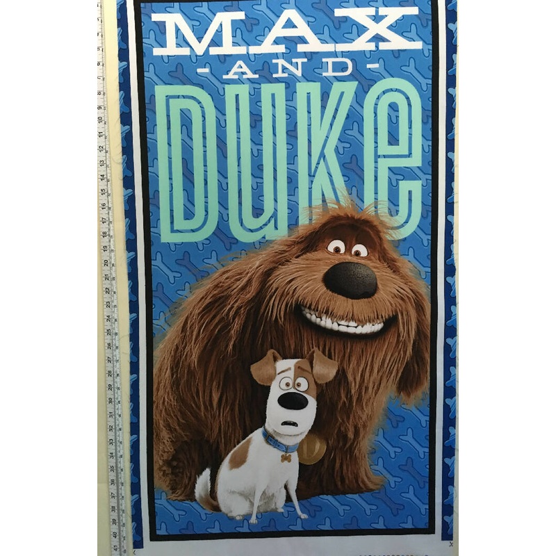 FABRIC Max and Duke Panel