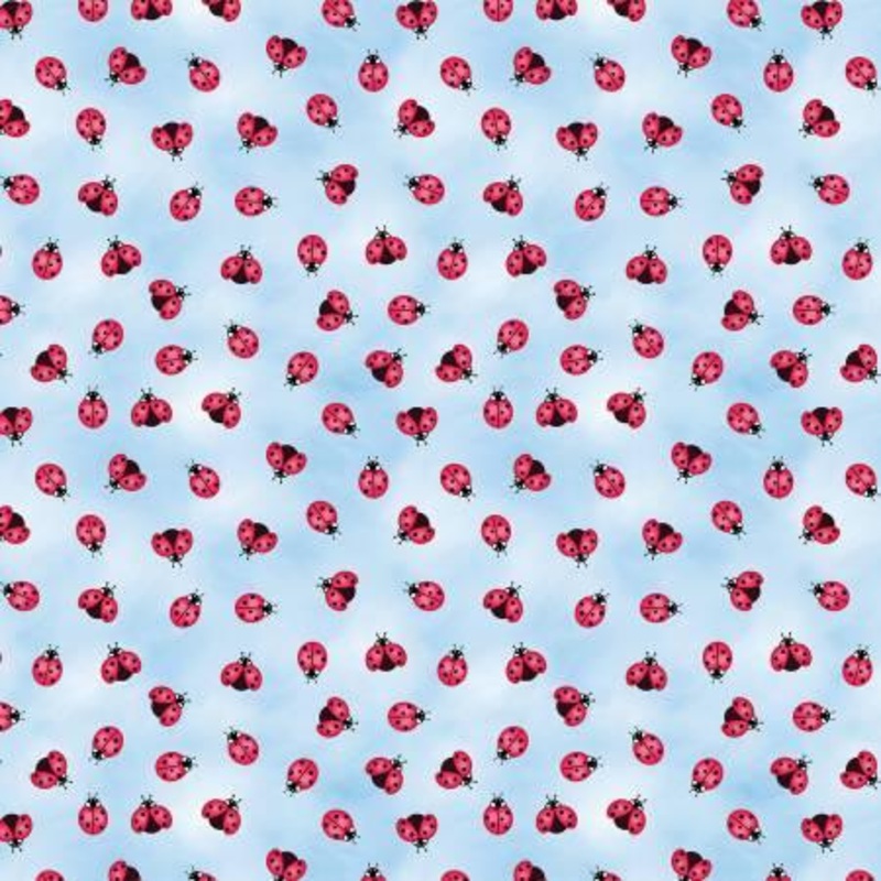 Sunshine Days Little Ladybugs Blue