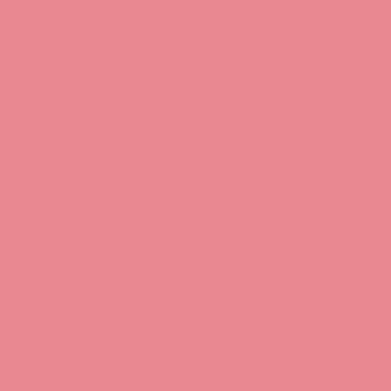 Superior Solids Carnation