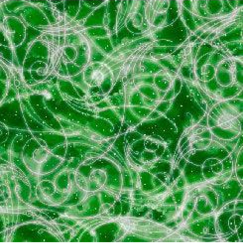 Whirlwind WHIRLWIND Swirls Green