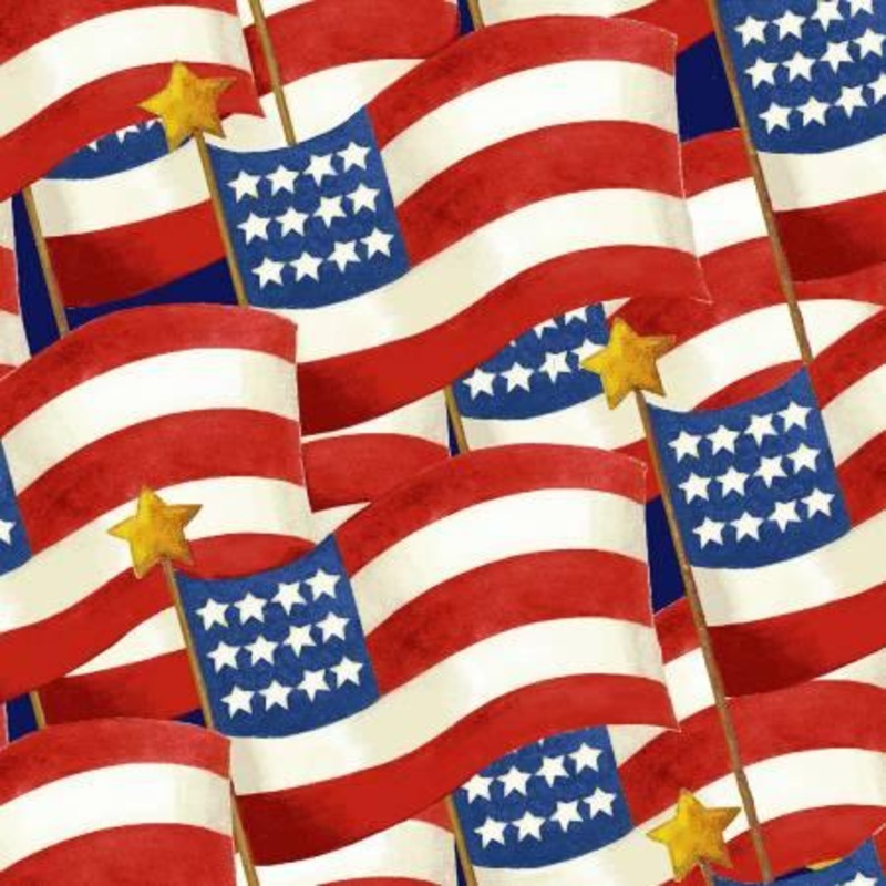 American the Beautiful Packed Flags by Jane Alison
