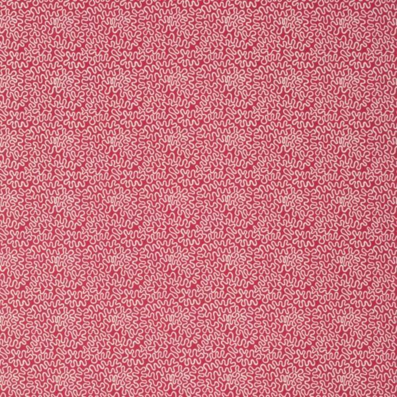 Berry Squiggles