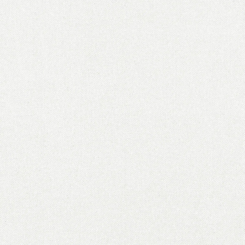 Canvas Fabric in White