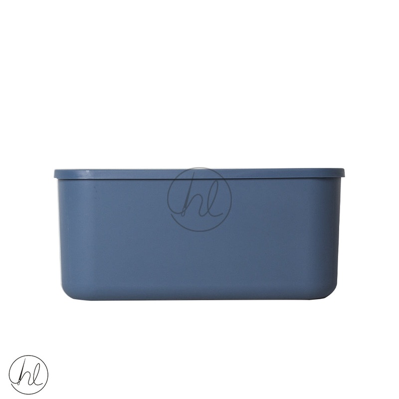STORAGE BOX W LID ASSORTED 550  ABY-4869