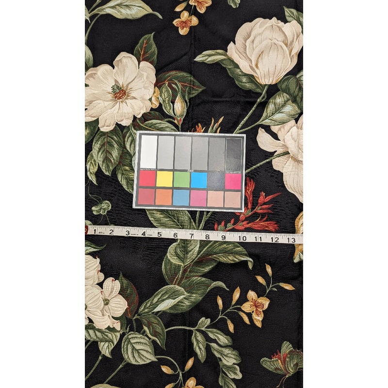 Garden Images Black/Multicolor Botanical Print Home Decor Woven Fabric 56"W - 1 yd