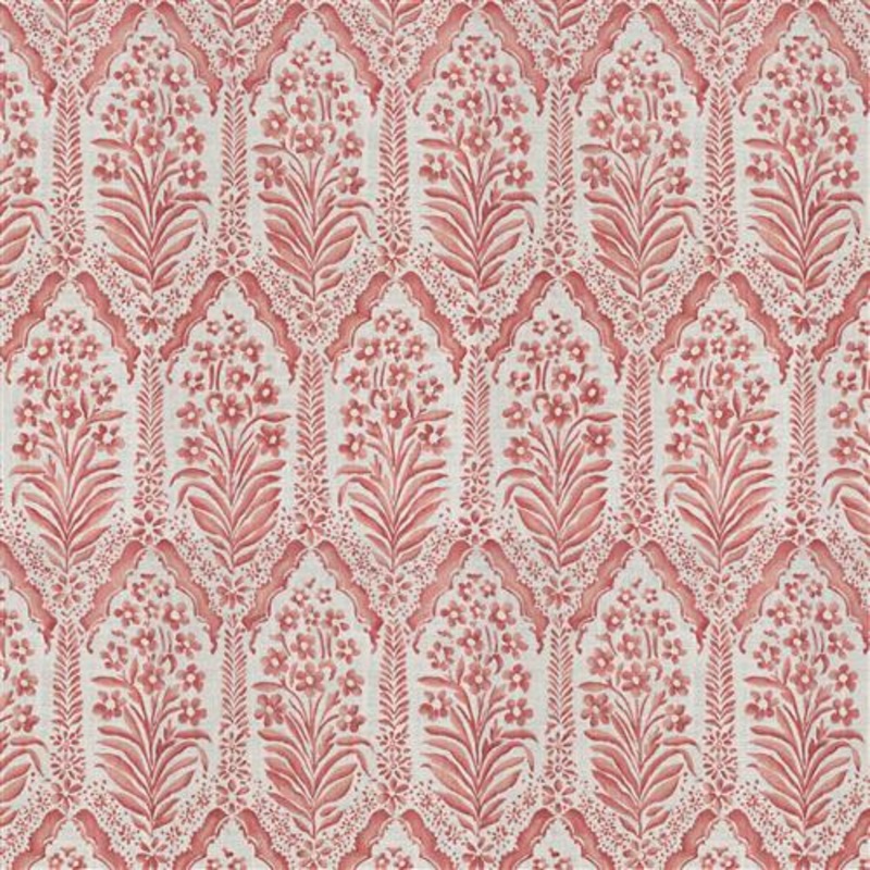 Callum (Fc) - Dahlia