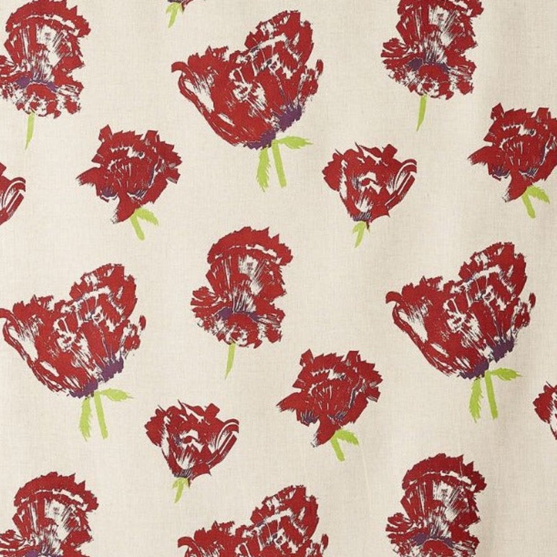 Daphne Roach