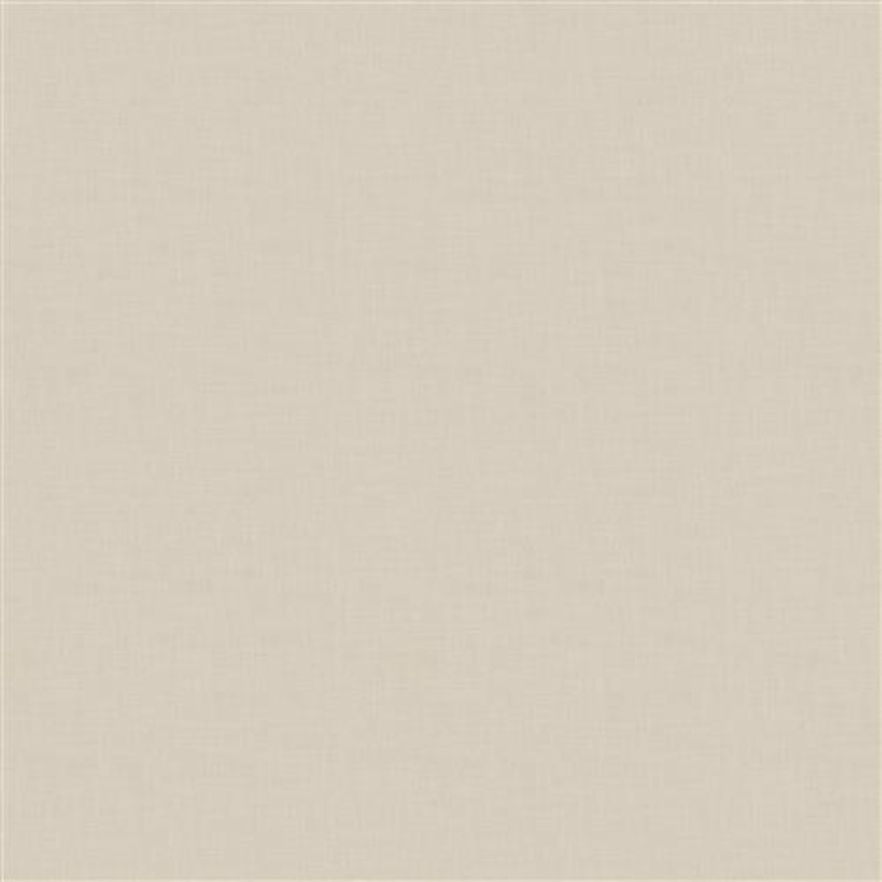 Adelino (Fc) - Echo - Ivory