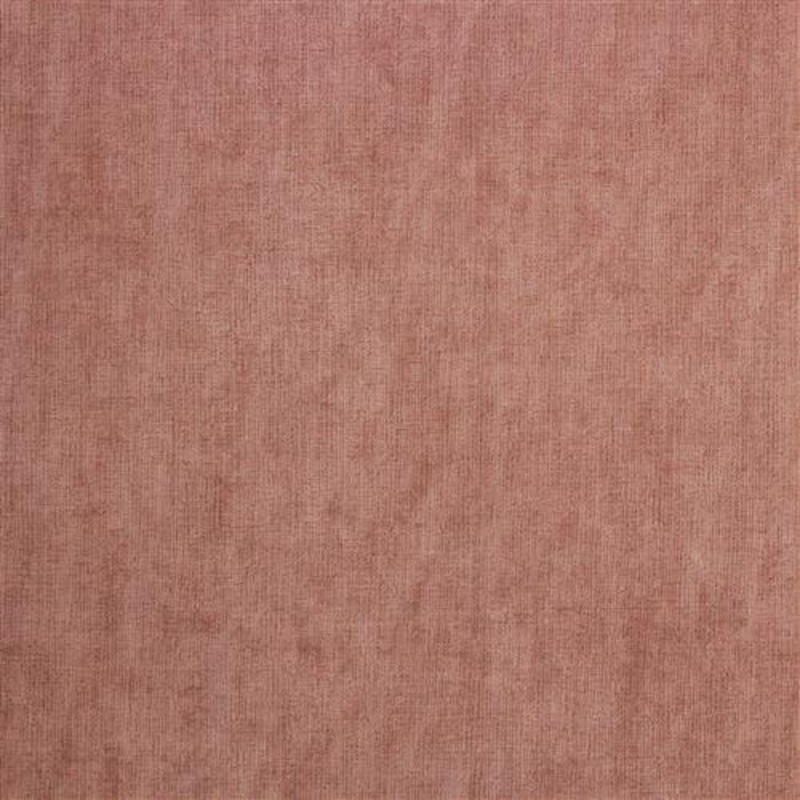 Rubio (Ri) - Tea Rose