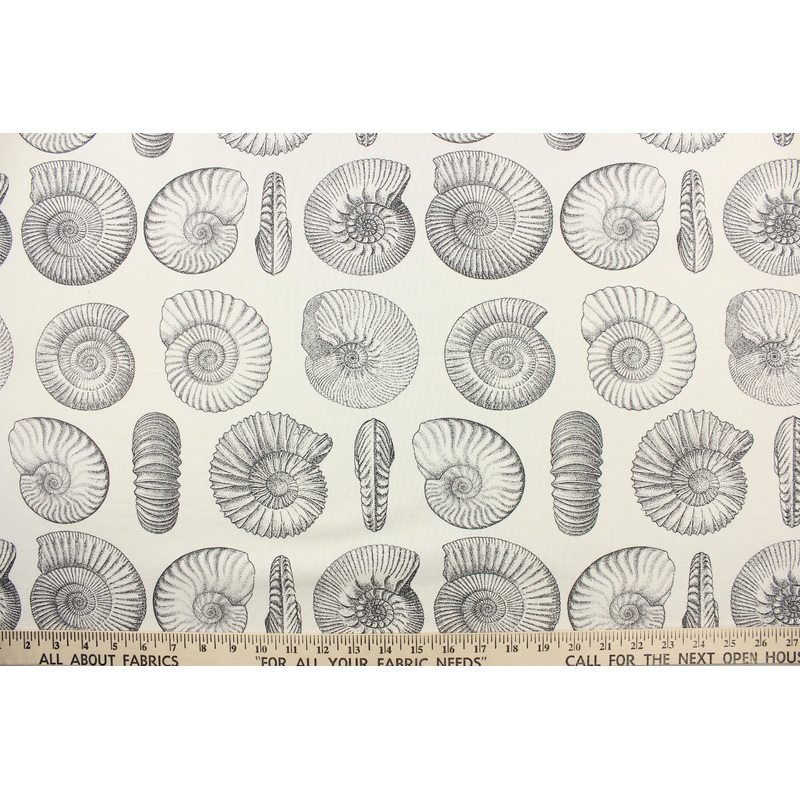 Waverly Natilus Shell Fabric in Sail