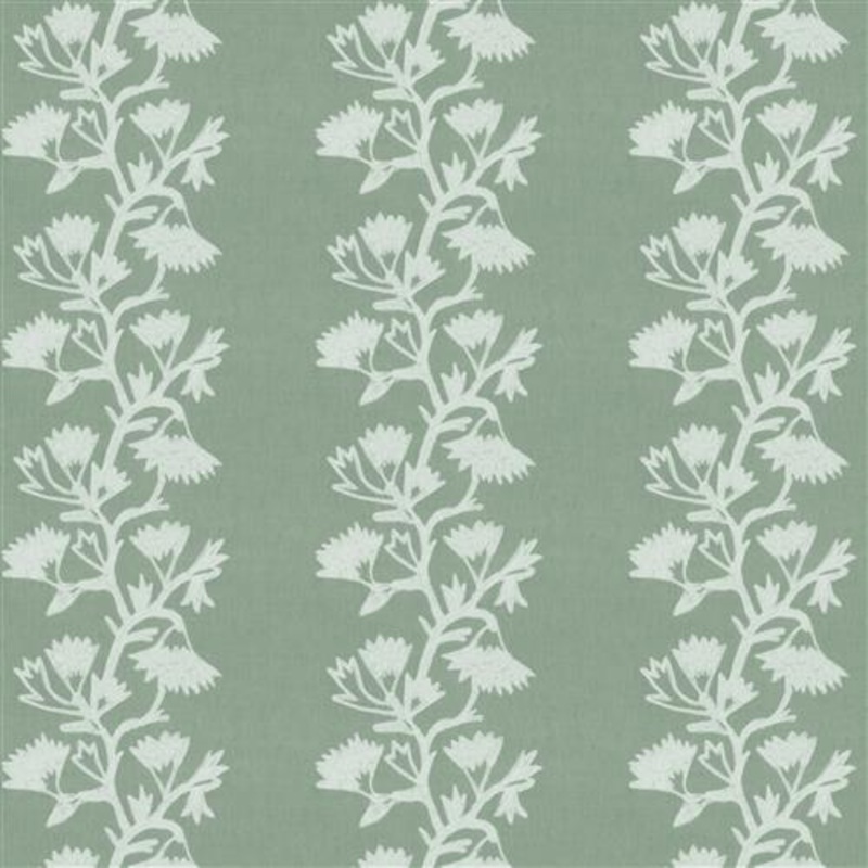 Kenley (Fc) - Dusty Miller