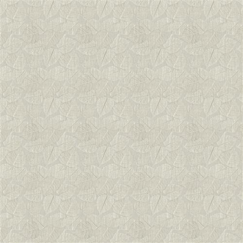 Catawba - Off White