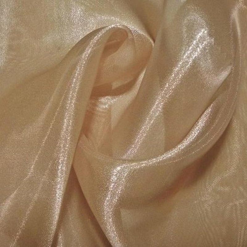 Crystal Organza Wholesale Fabric in Cappuccino 147
