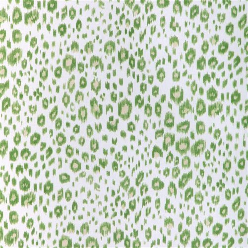 Leopard (Kc) - 3 Aloe