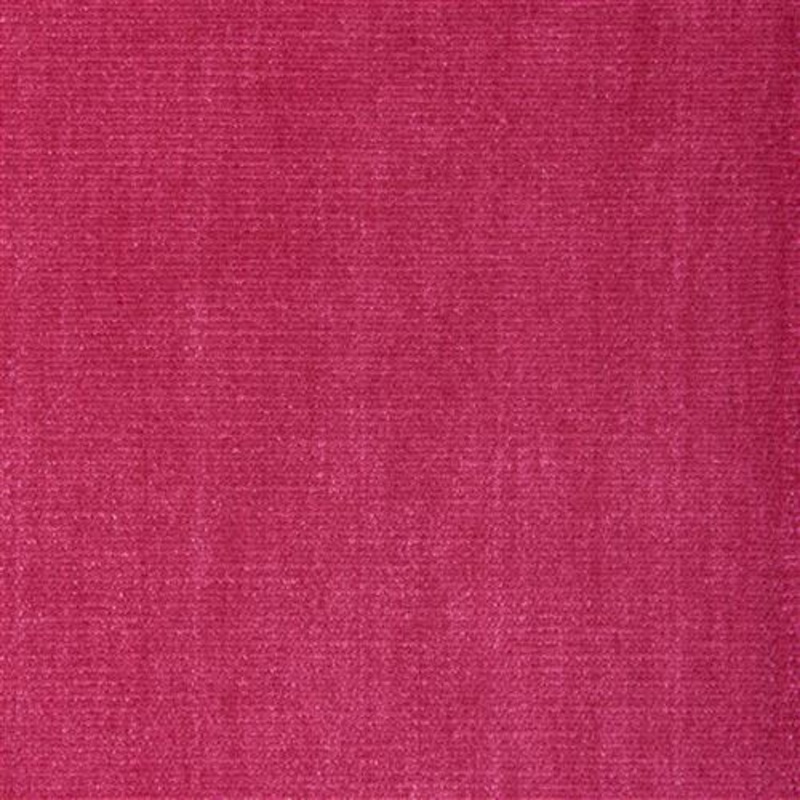 Alpaga (Kc) - Performance - 77 Fuchsia
