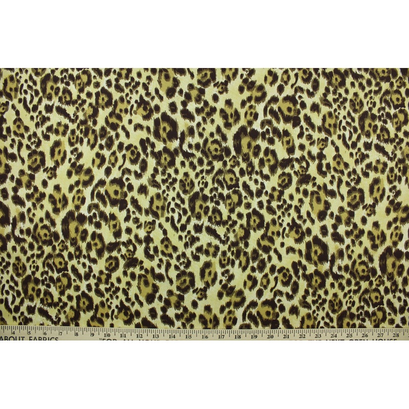 Cheetah in Brown