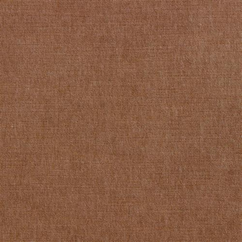 Ella Pfr (Ri) - Performance - Chai