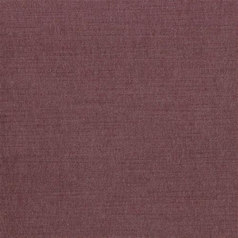 Ella Pfr (Ri) - Performance - Cerise