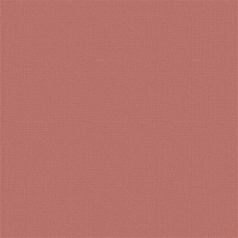 Lonan - Coral