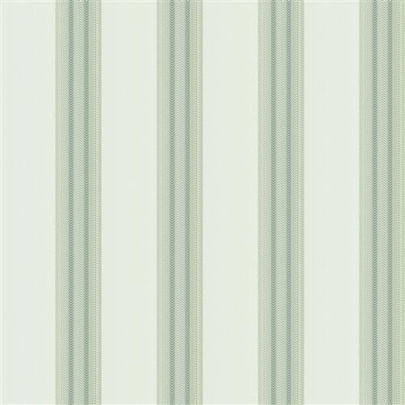 Nasir (Fc) - Dusty Miller