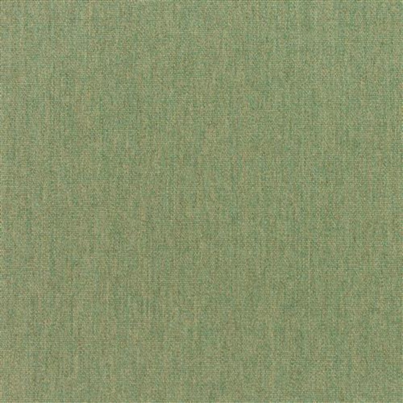 Canvas - Sunbrella Outdoor - Fern