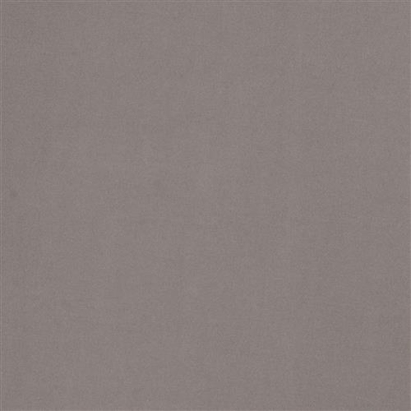 Valencia Satin - Shark