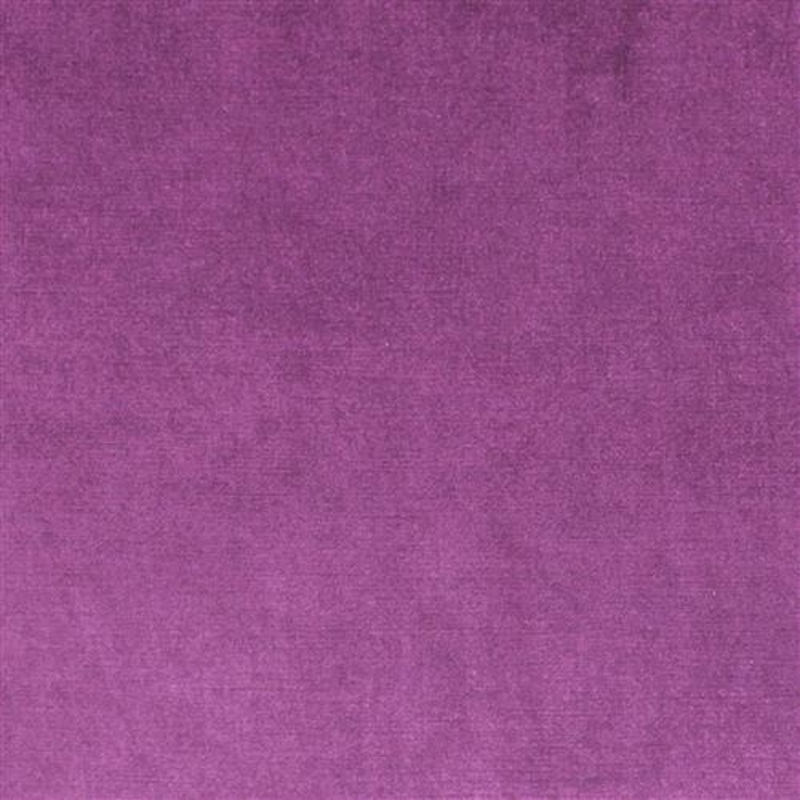 Viviane Pfr (Ri) - Performance - Violet