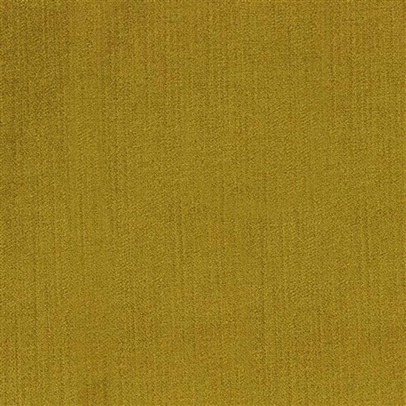 Viviane Pfr (Ri) - Performance - Citronella
