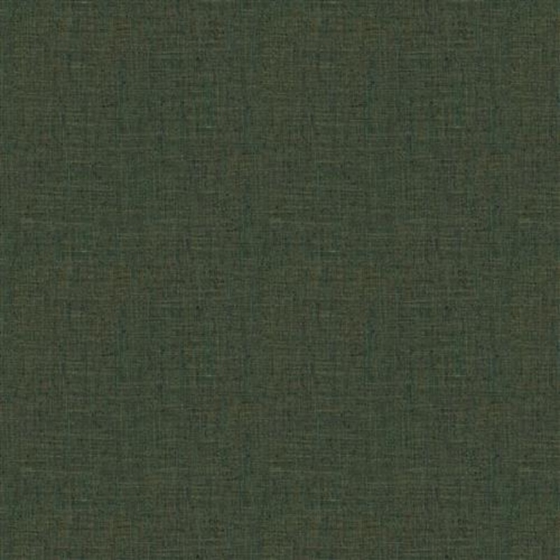Katpana (Fc) - Rainforest