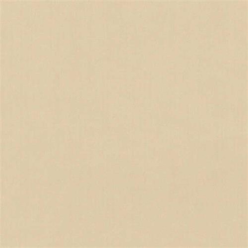 Lustrous Satin - 111 Chamois